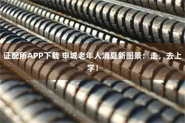 证配所APP下载 申城老年人消夏新图景：走，去上学！